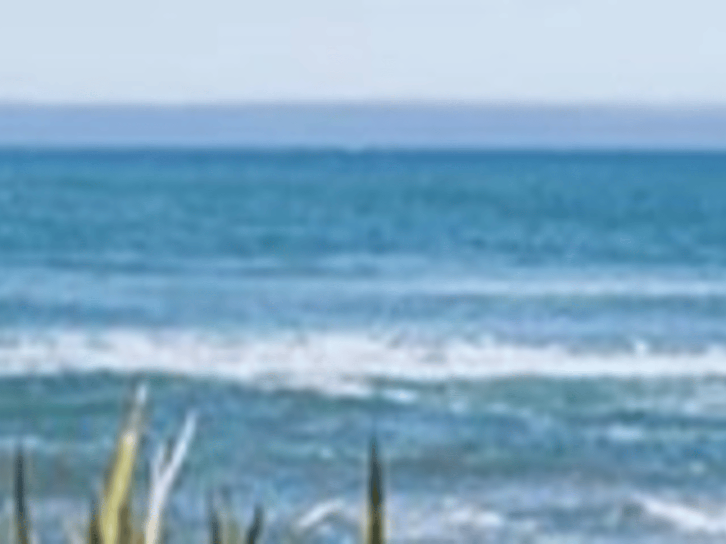 William Raveis - Allison Hughes