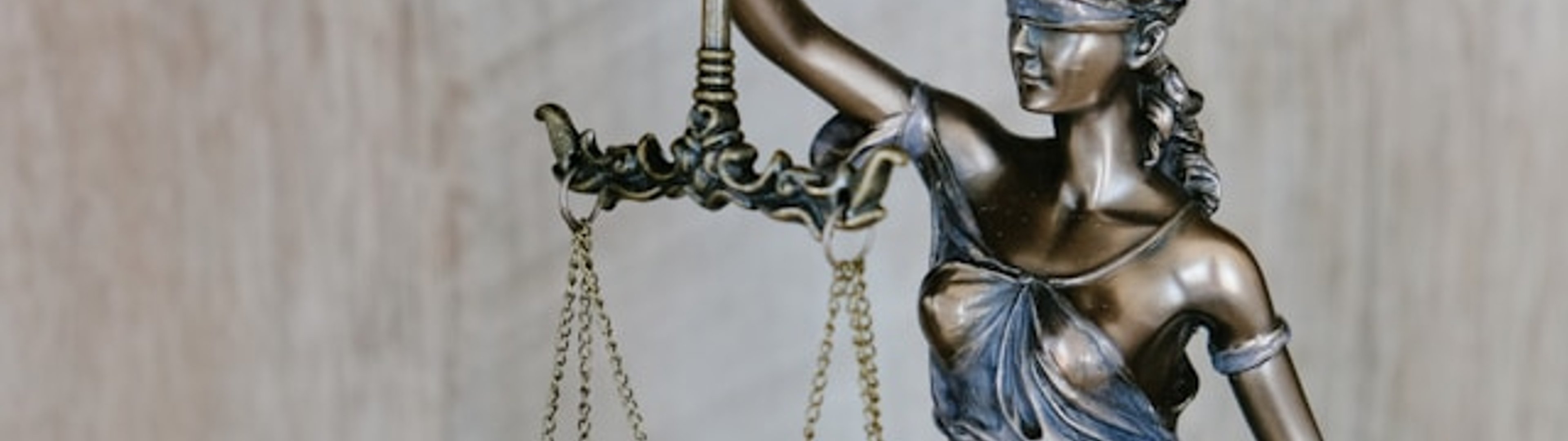 Make all the visitors to this site your own