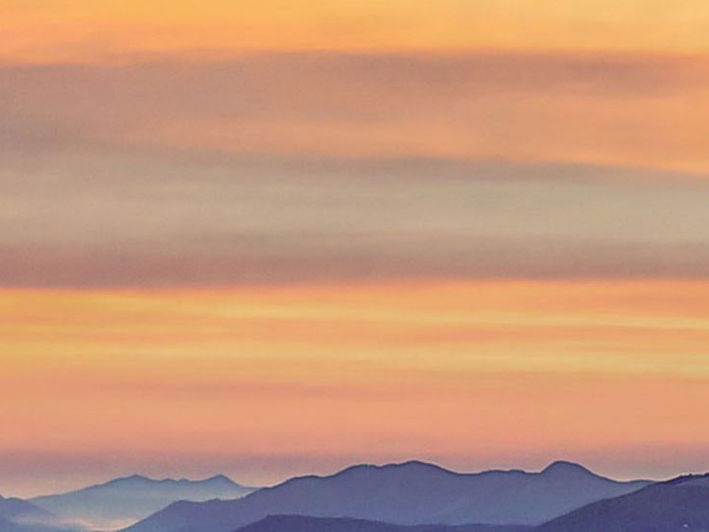 Mutual of Omaha - Paul Donohue