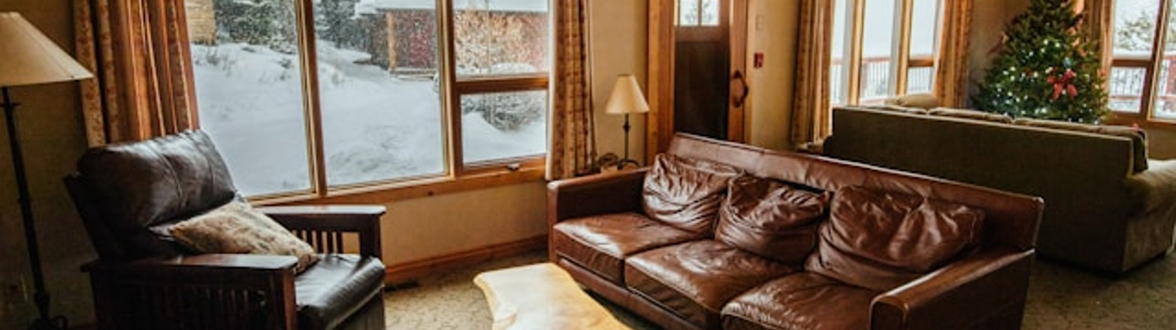 Make all the visitors to this site your own