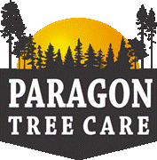 Paragontreecare.com logo || "logo"
