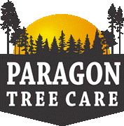 Paragontreecare.com logo