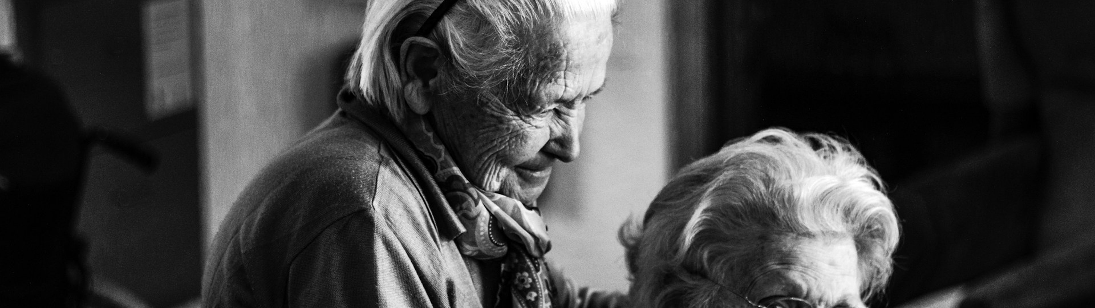 Make all the visitors to this site your own