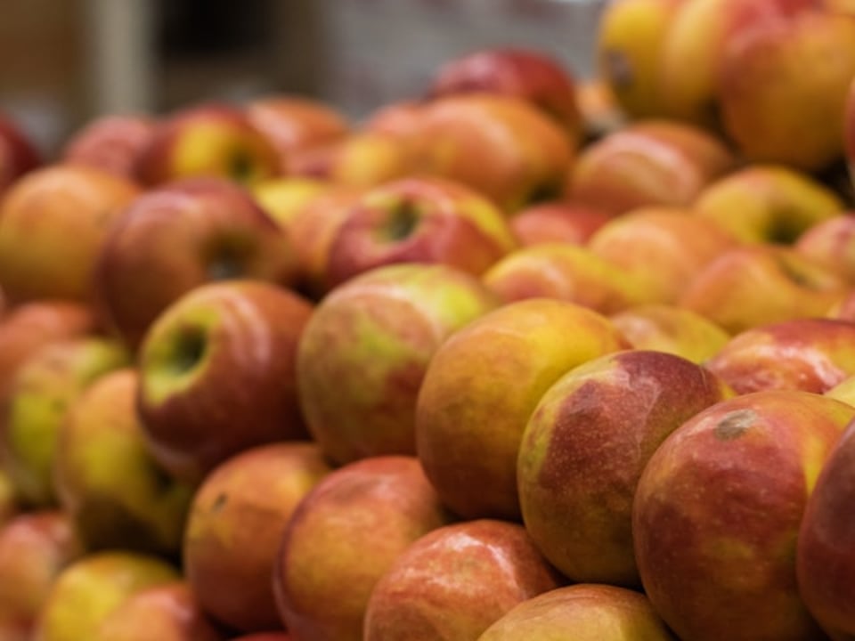 You can see we understand quite a bit about what Fruit and vegetable store do