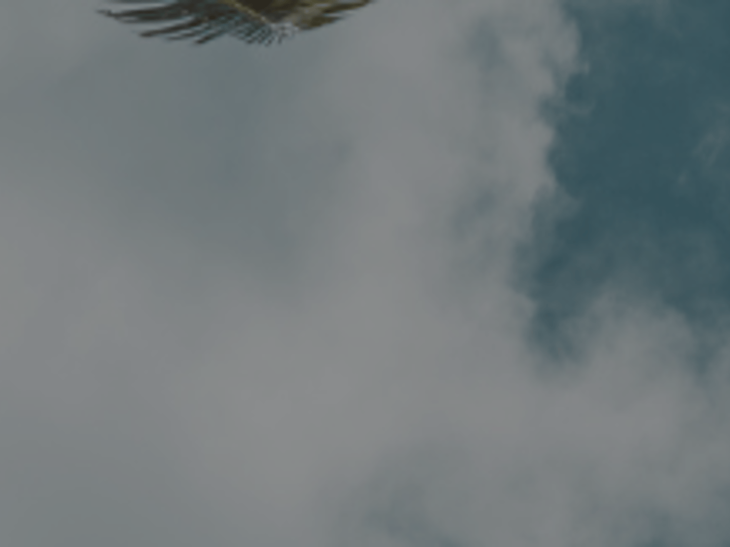 Amber Lane Kailua Kona Real Estate Agent RS79687- Real Broker LLC