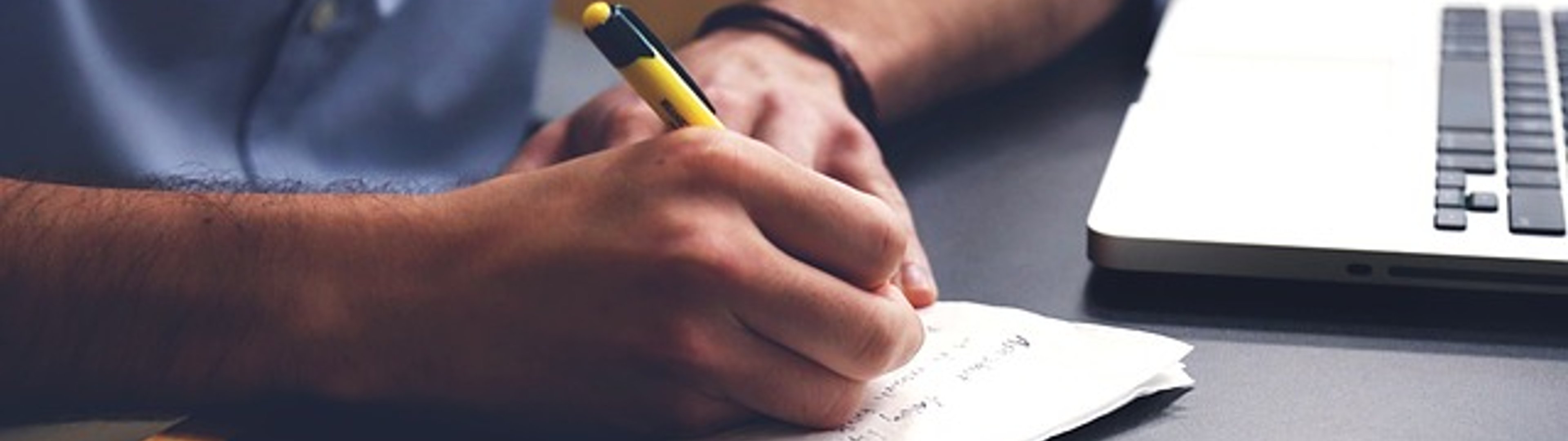 Make all the visitors to this site your own