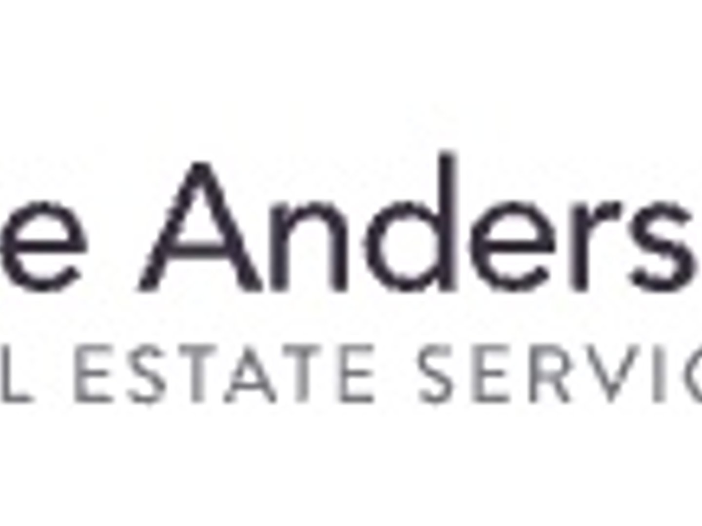 The Anderson Group Real Estate Services