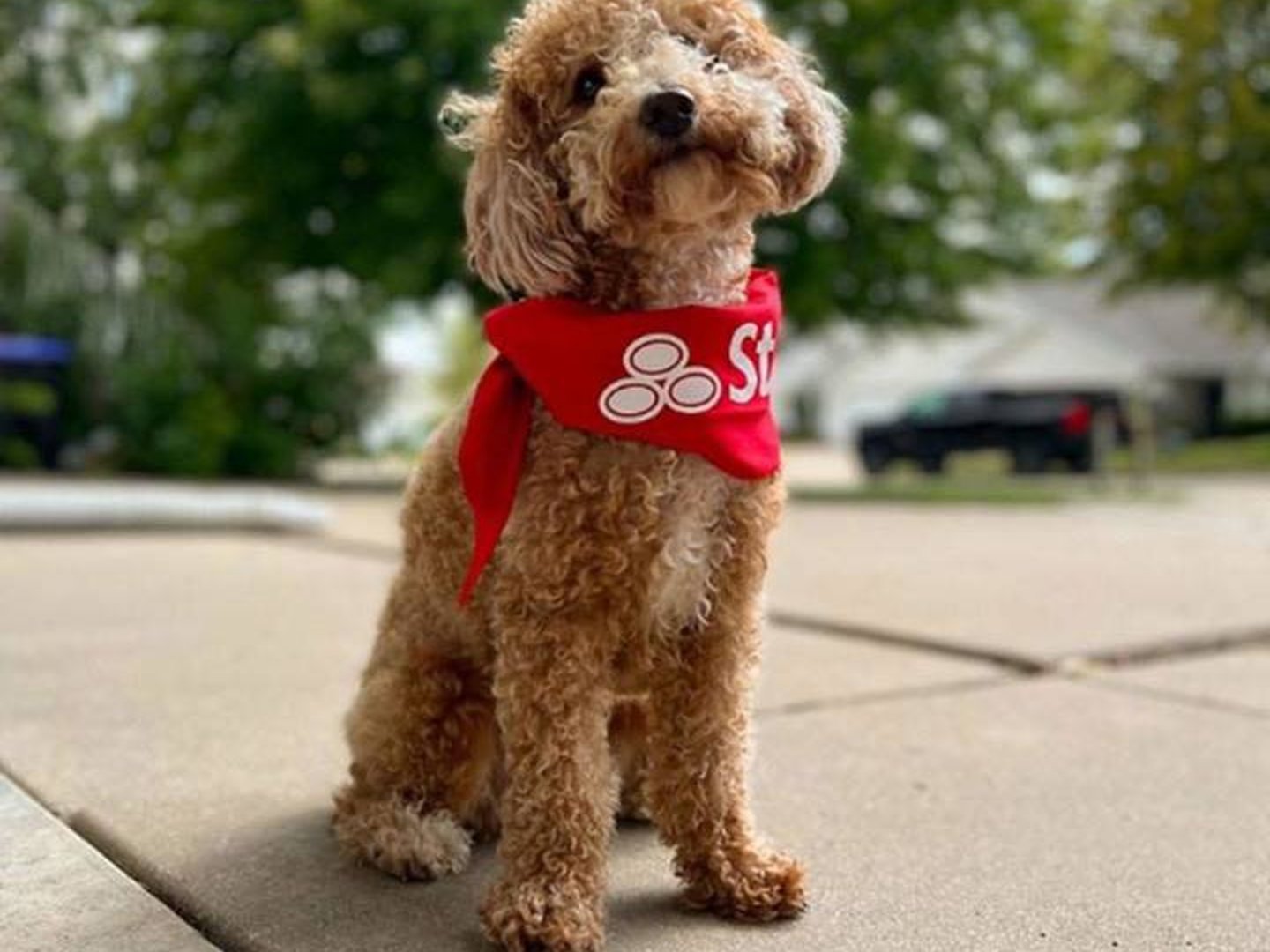 Ivy Fields-Releford - State Farm Insurance Agent