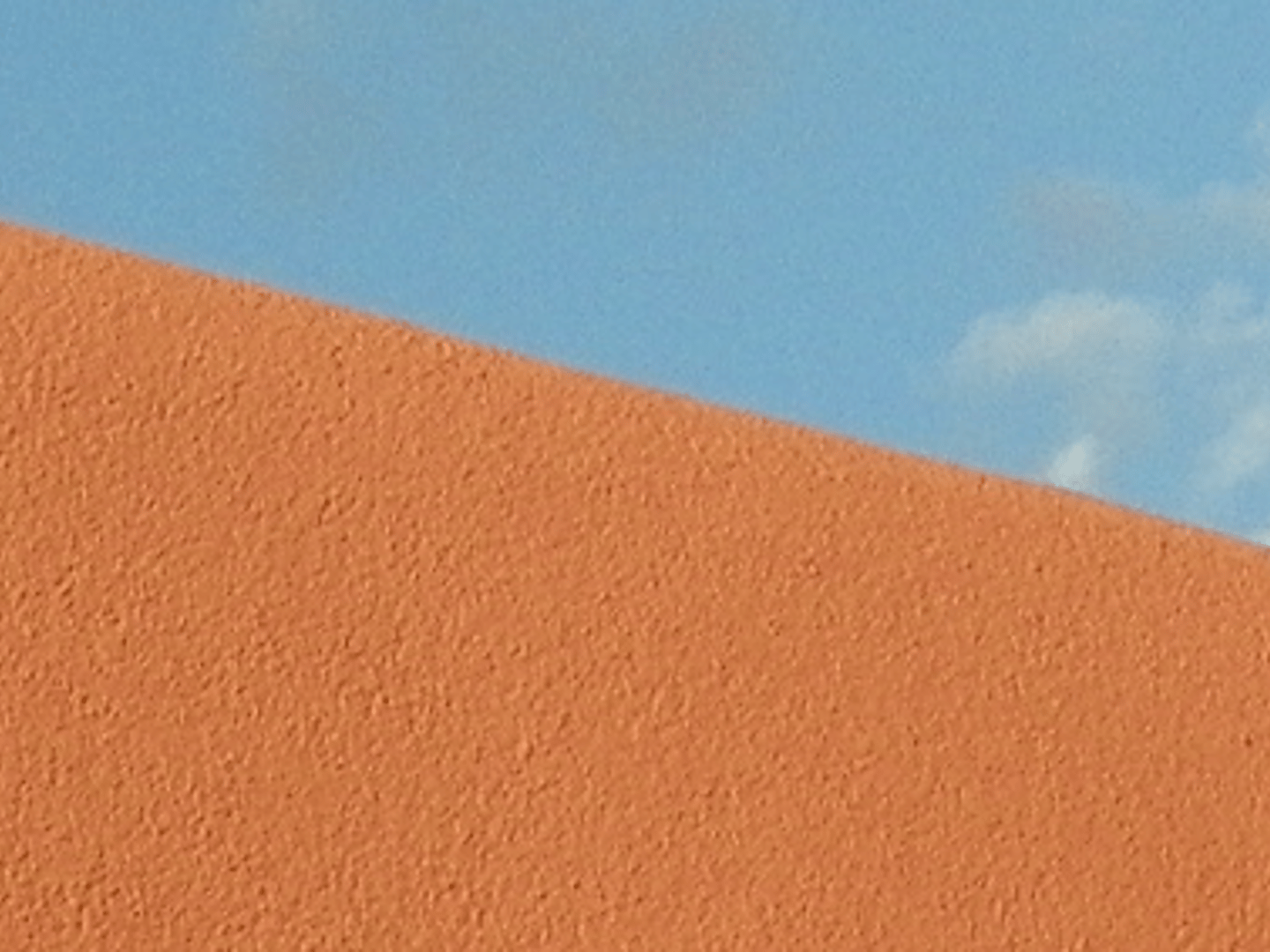 Emily Medvec, eXp Realty LLC