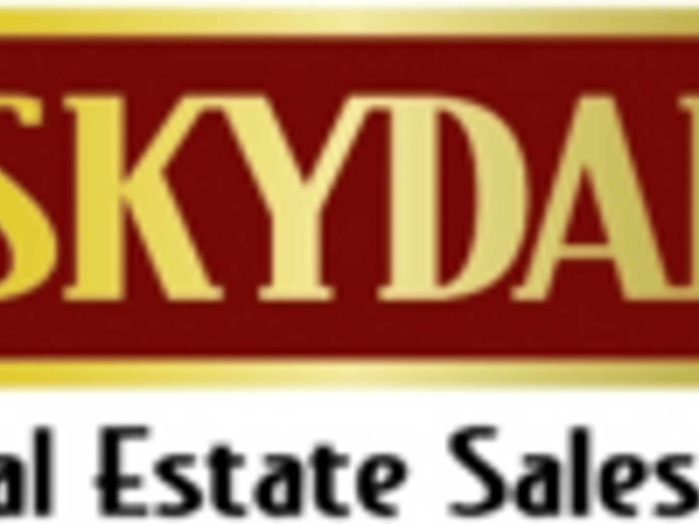 John Sommese | #475.133462 Illinois, Broker | Skydan Real Estate Sales, LLC
