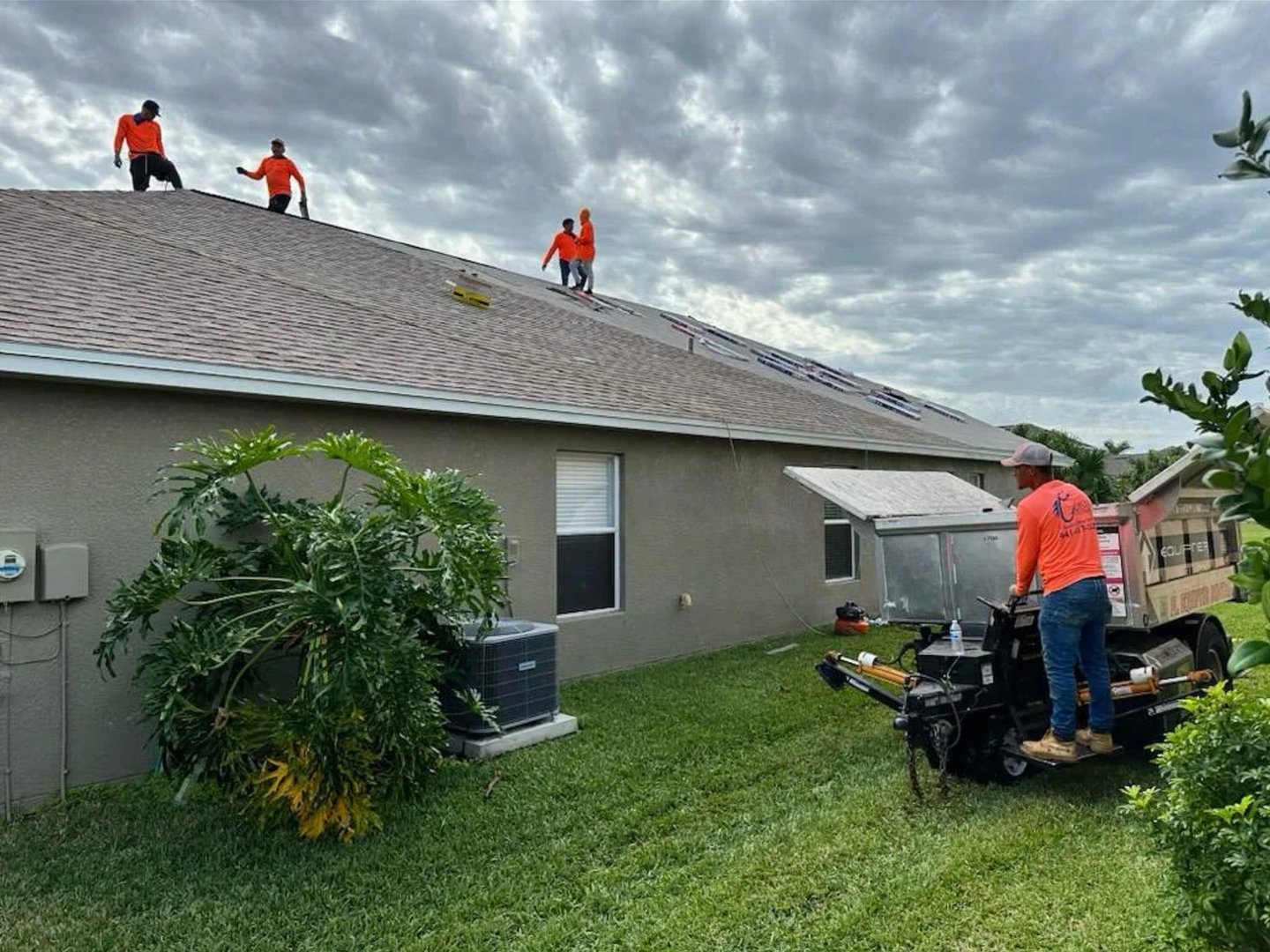 Proximity Nova review image