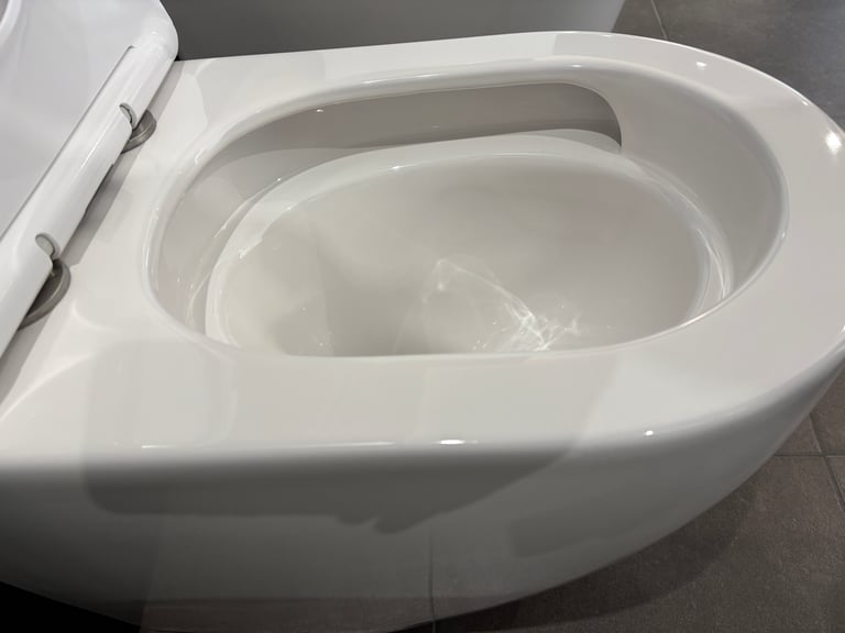 CaiTornado style floor mount pan with Soft Close Seat. image