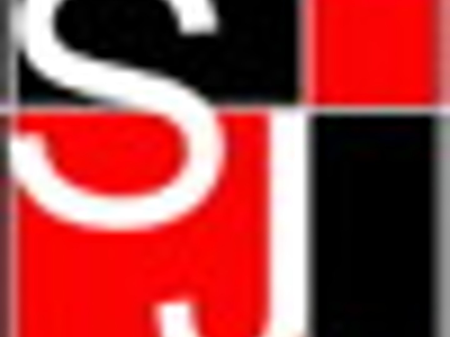 SJ SURVEYING SERVICES PTY LTD