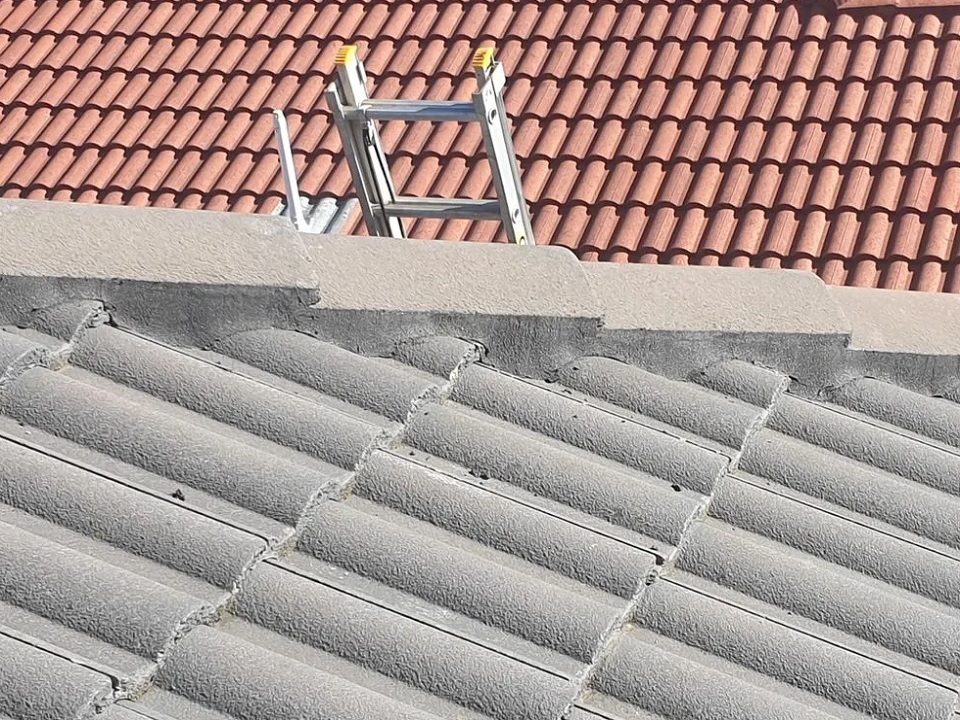 Roof Plus featured image