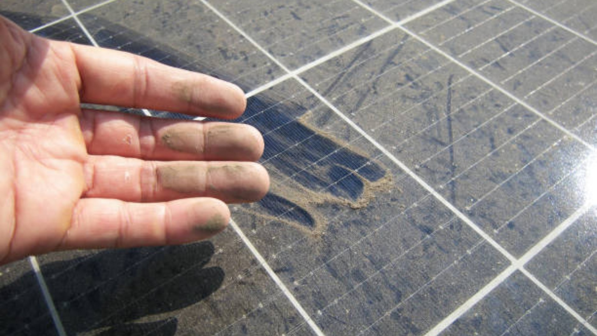 Harris Solar Panel Cleaning and Bird Proofing hero image