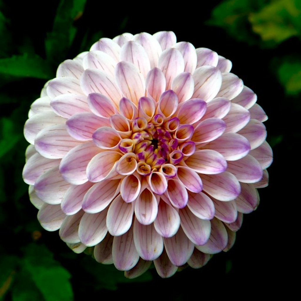 Churchill Florist is a Perth based boutique Florist