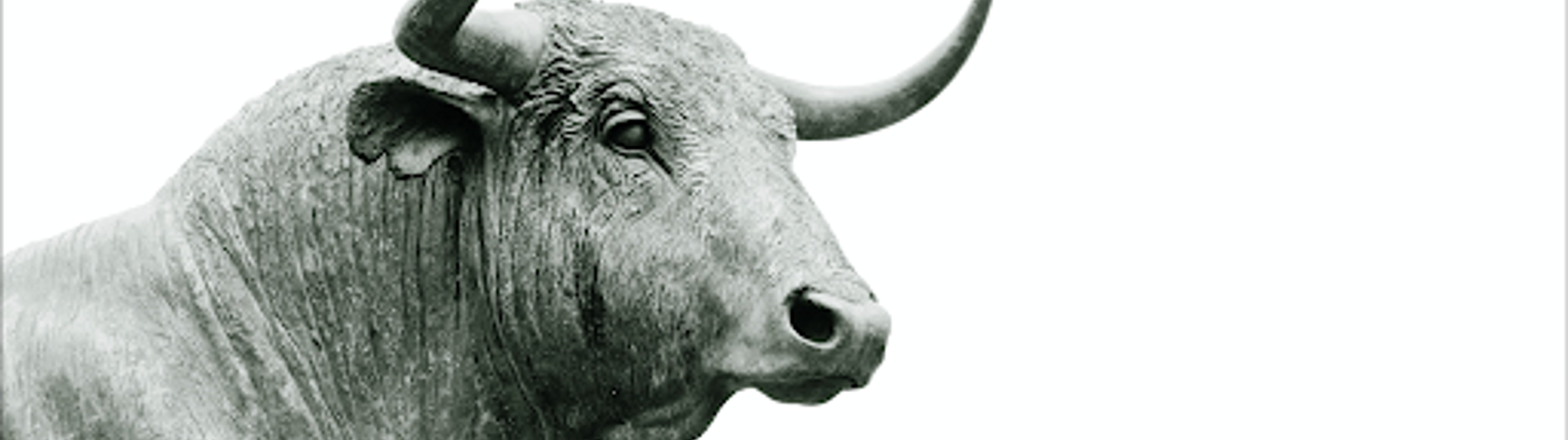 Lorem ipsum dolor sit amet