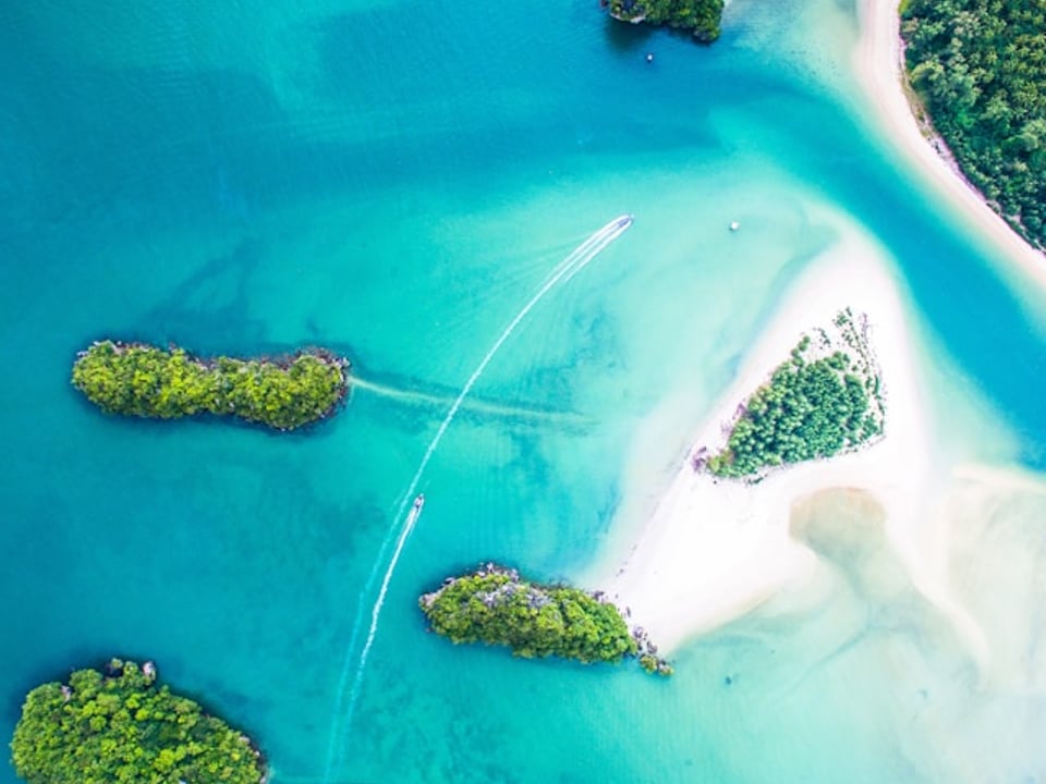 But we don’t offer Island Tours here. We do SEO.