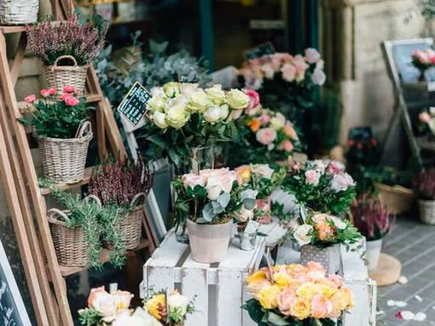 Churchill Florist - Solid featured image