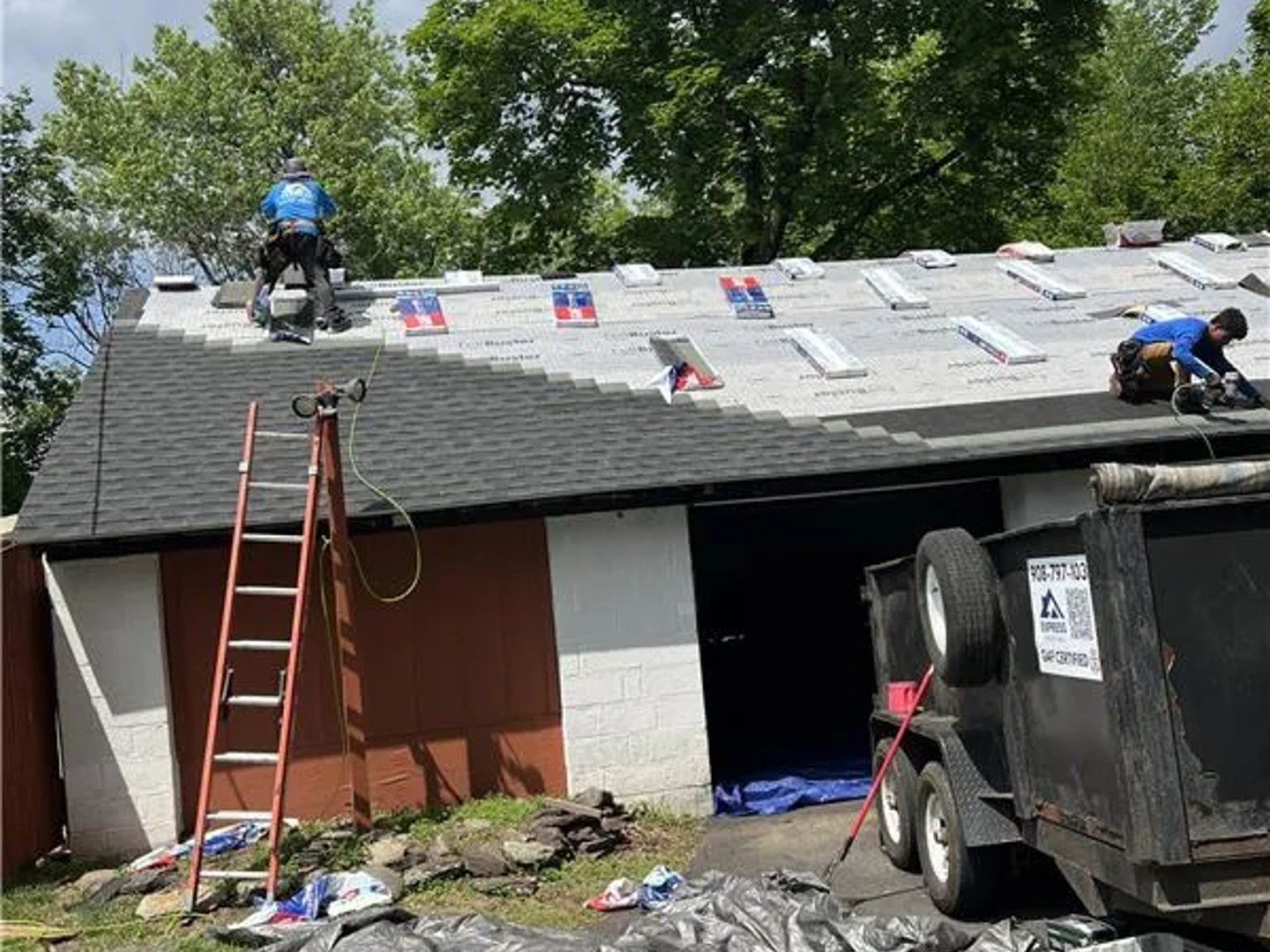 Proximity Nova review image