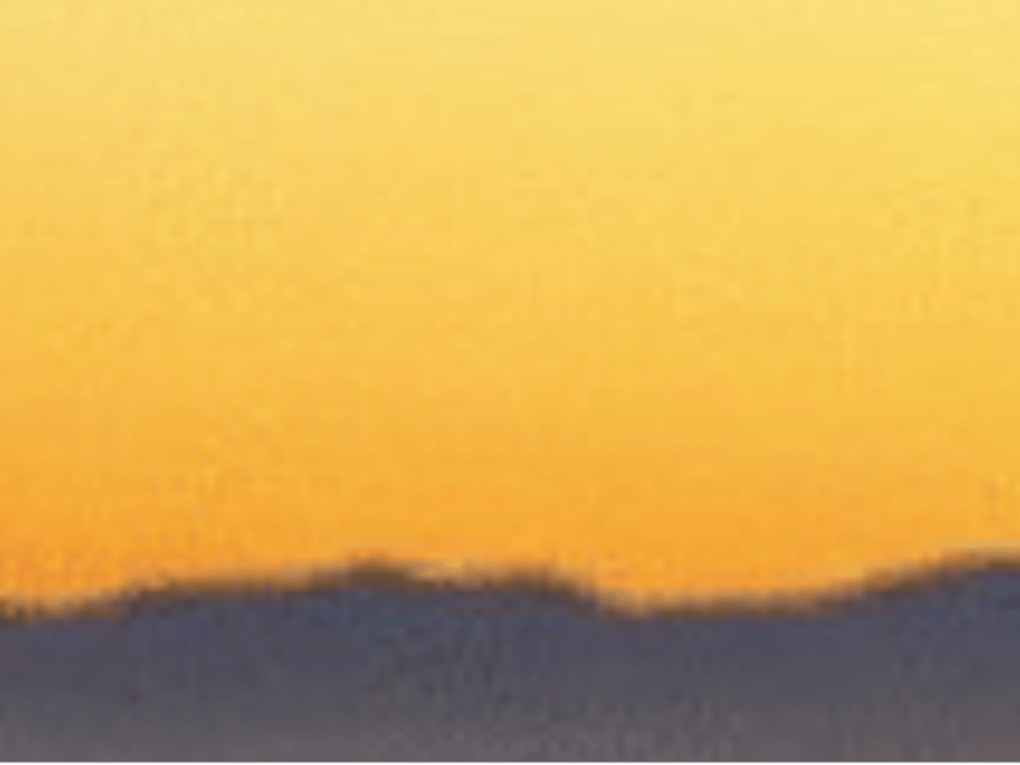 Check Point Realty - Adriana Focke