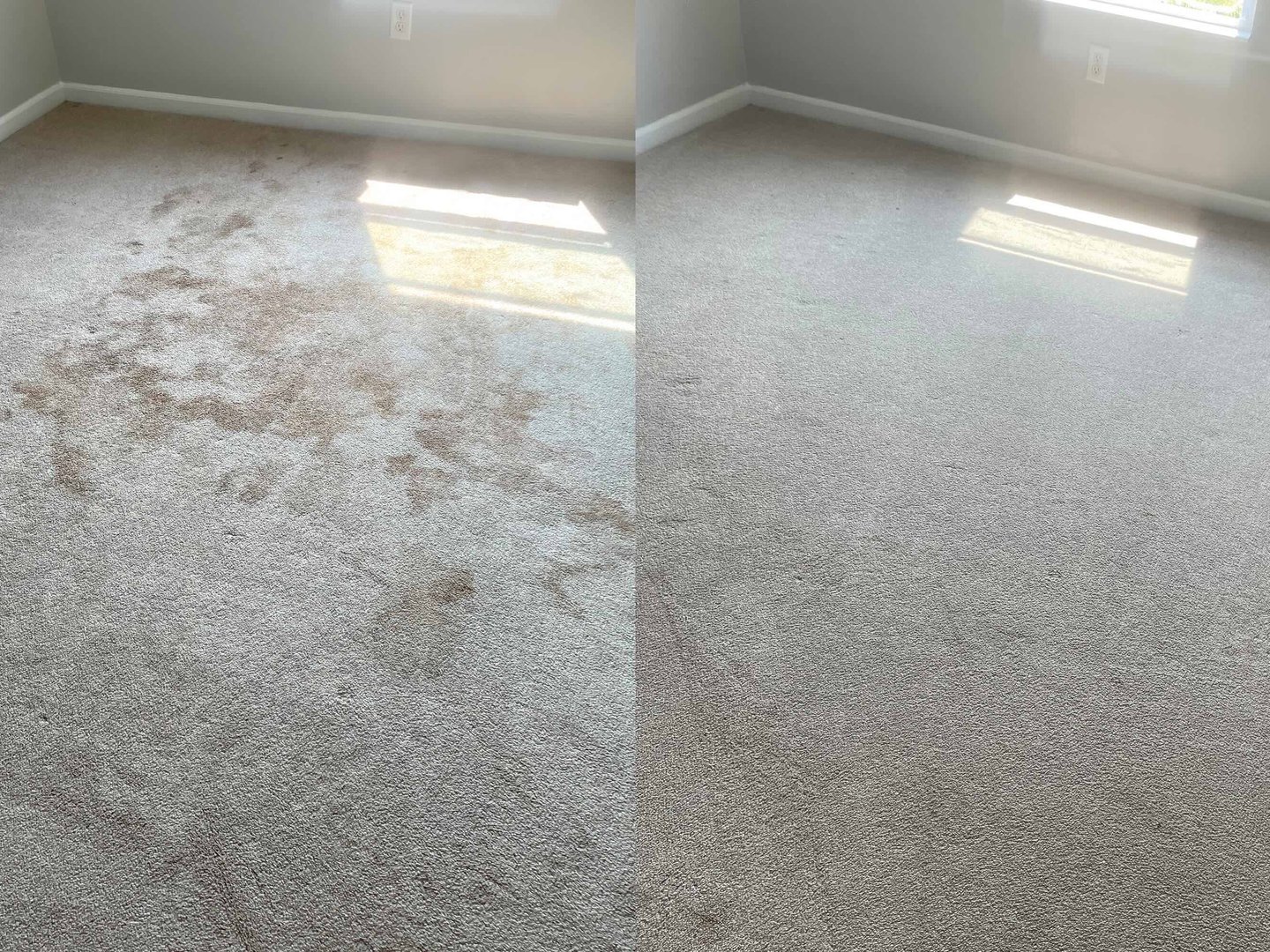 Proximity Nova gallery image