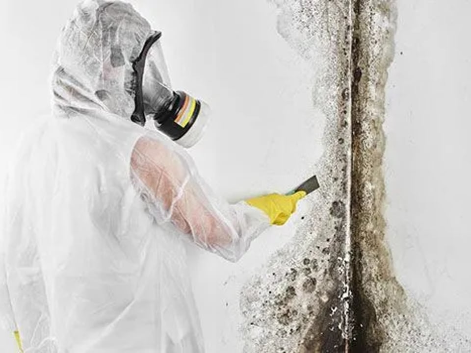 Voda Cleaning & Restoration of West Austin featured image