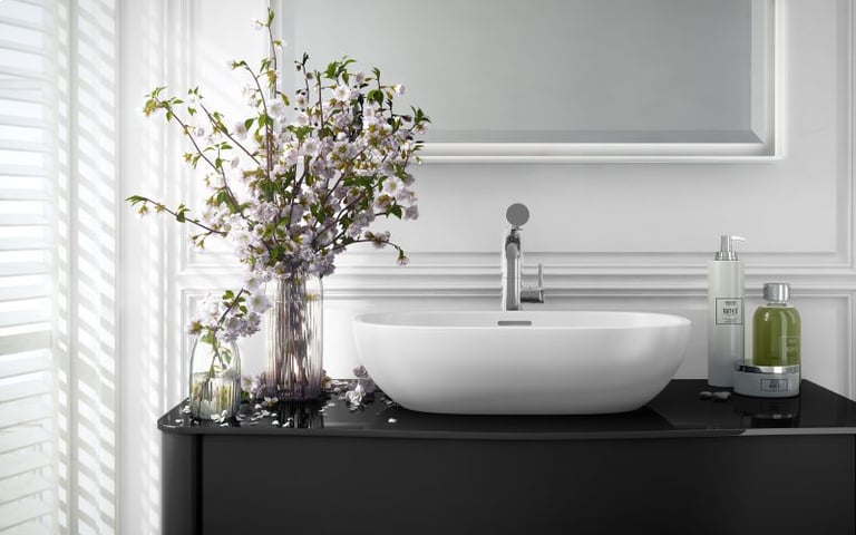 Barcelona 55 basin, with overflow image