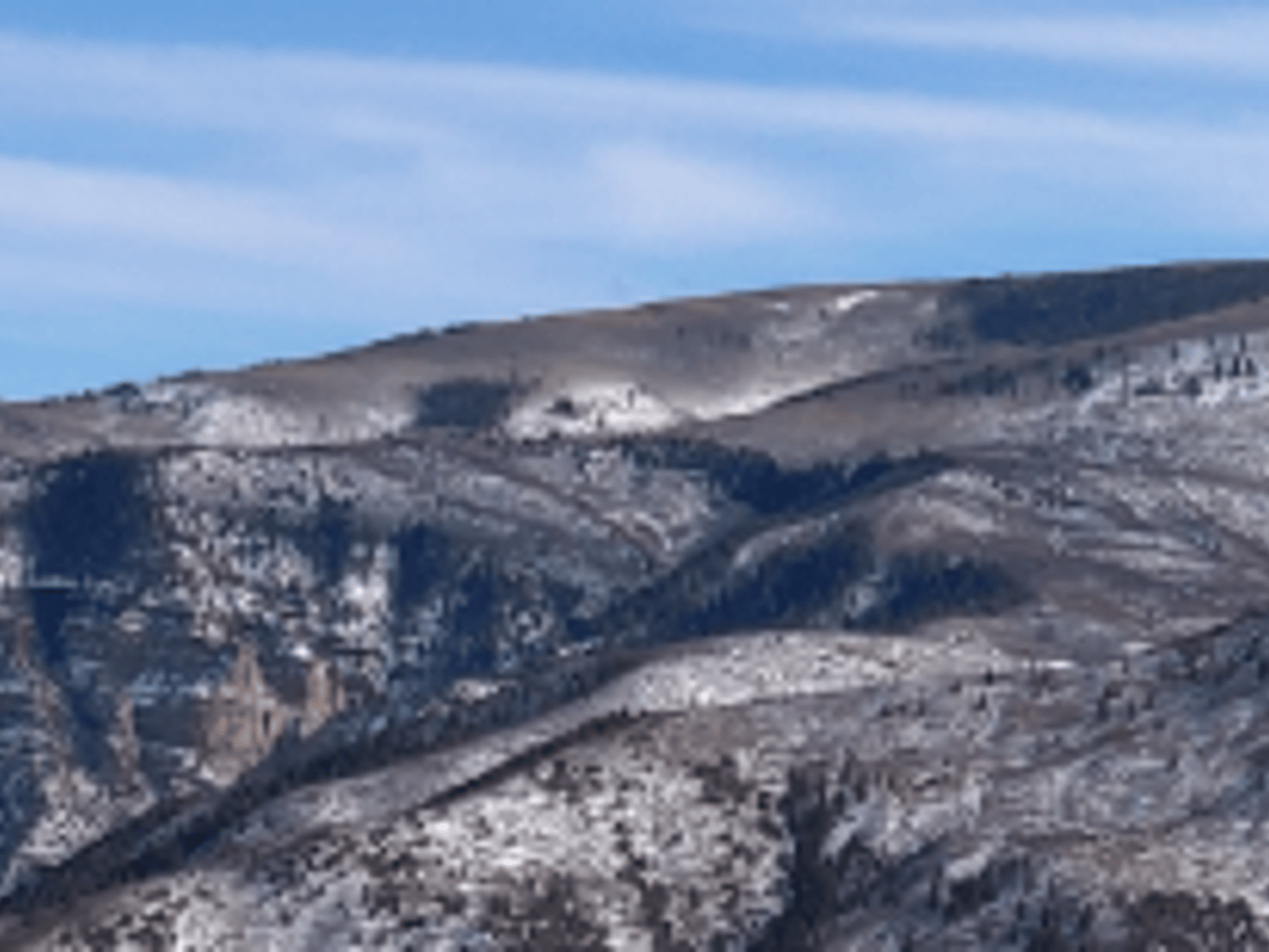 Clover Circle-Real Estate Empowered - Liza Burns