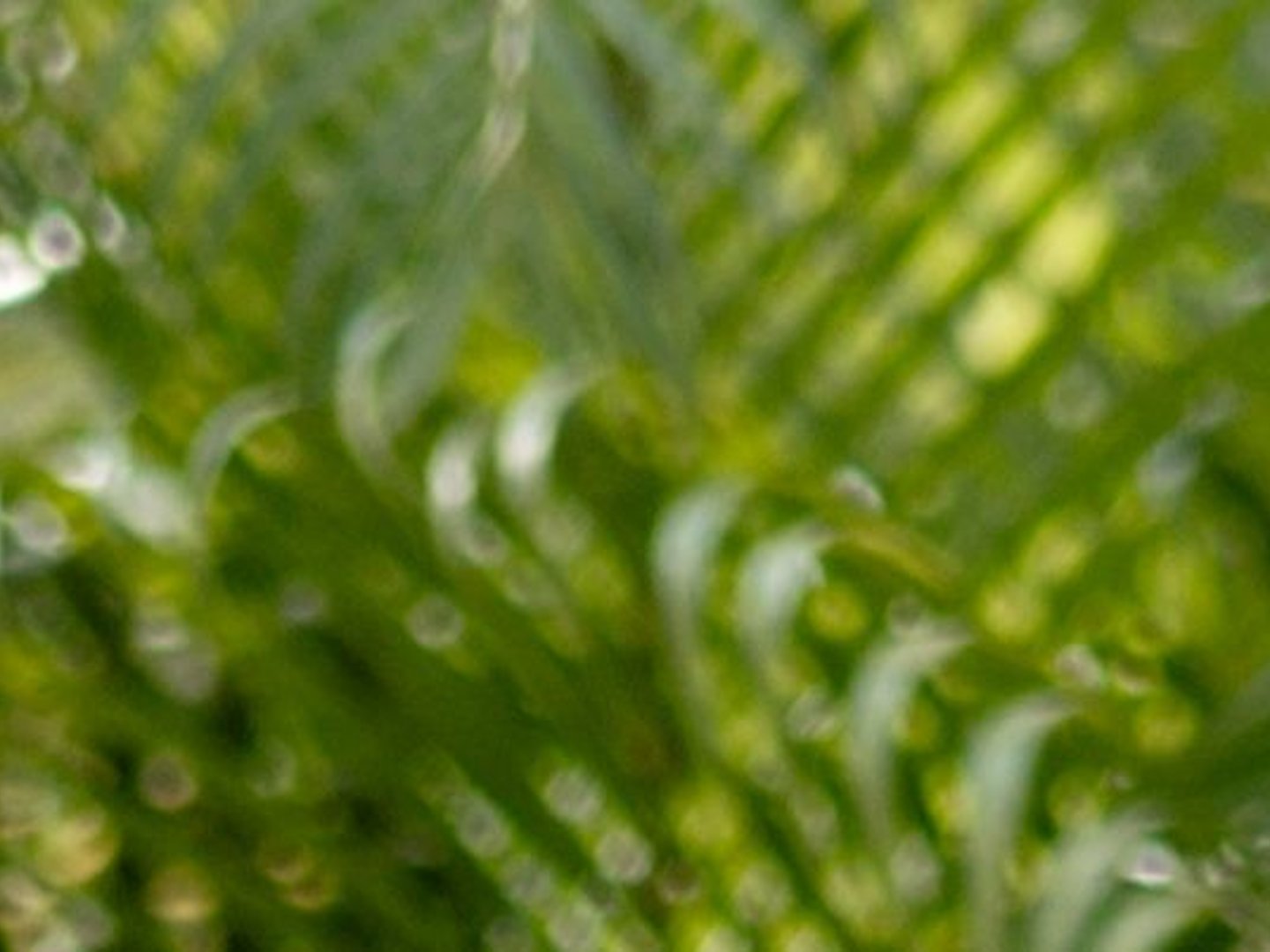 Edge Home Finance - Spencer Woodward