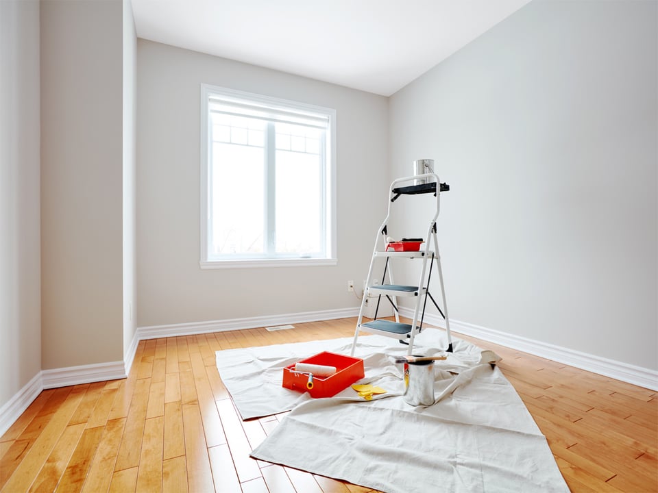 Painting and Decorating Specialist featured image