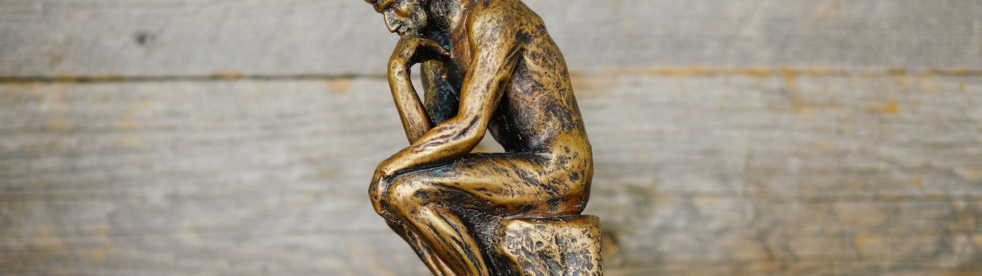 Make all the visitors to this site your own