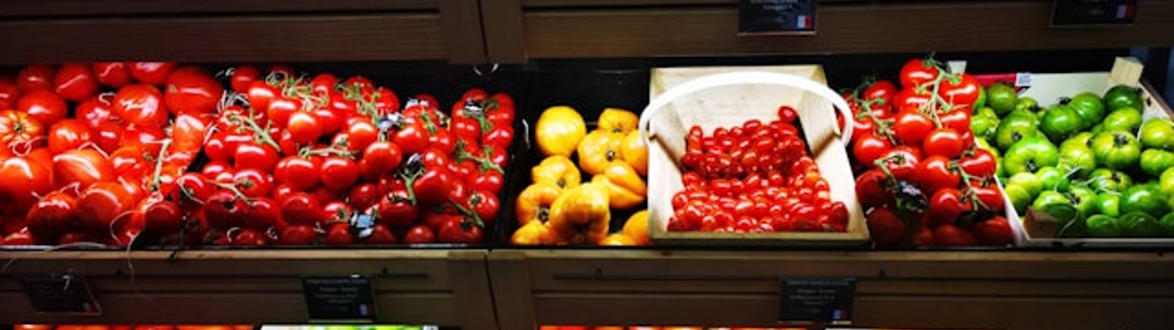 Make all the visitors to this site your own