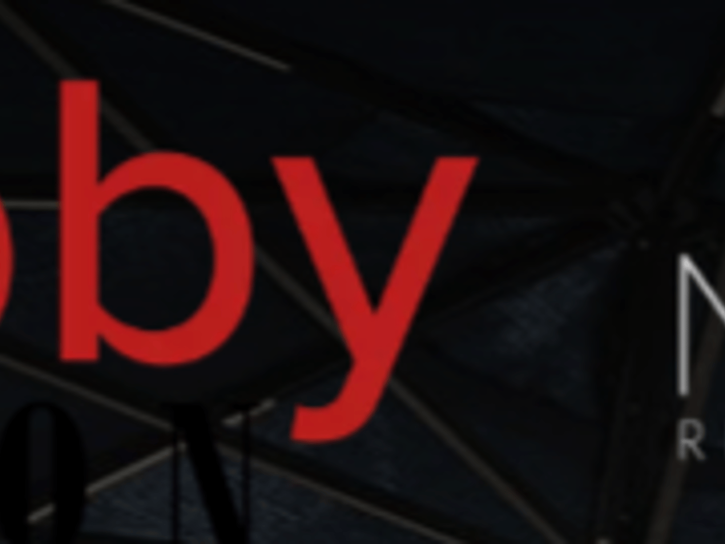 Gabriela Hanson - Realtor