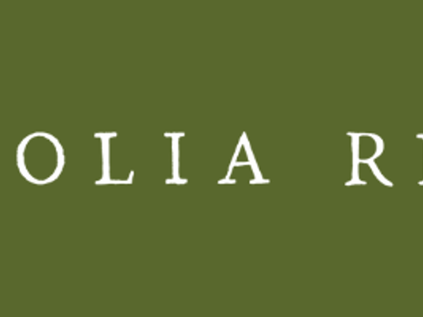 Magnolia Realty - Cynthia McGee