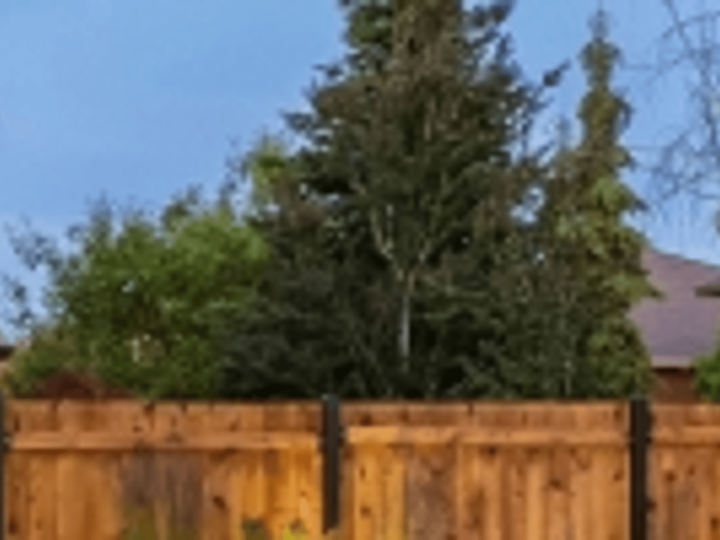 MGM Mortgage - Cedar City, UT