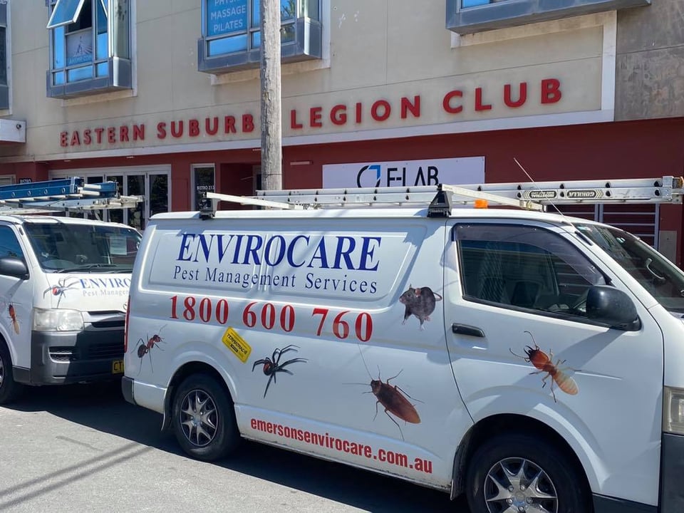 Emersons Envirocare Pest Control featured image
