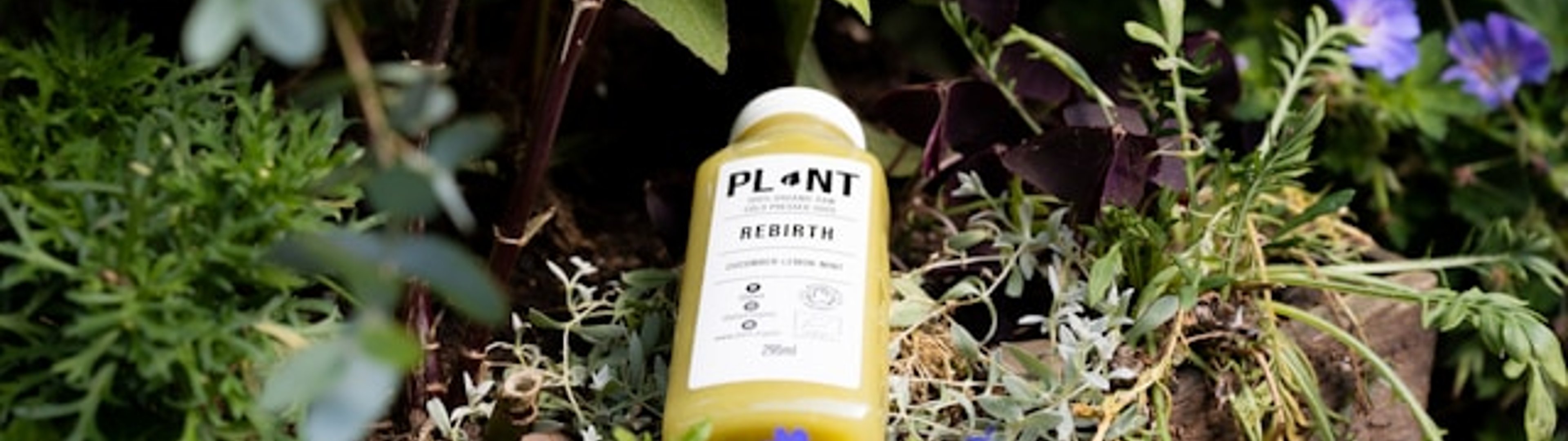 Make all the visitors to this site your own