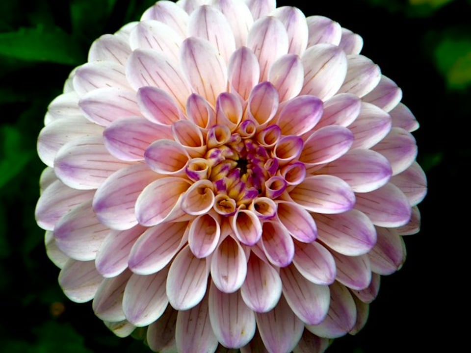 Churchill Florist is a Perth based boutique Florist