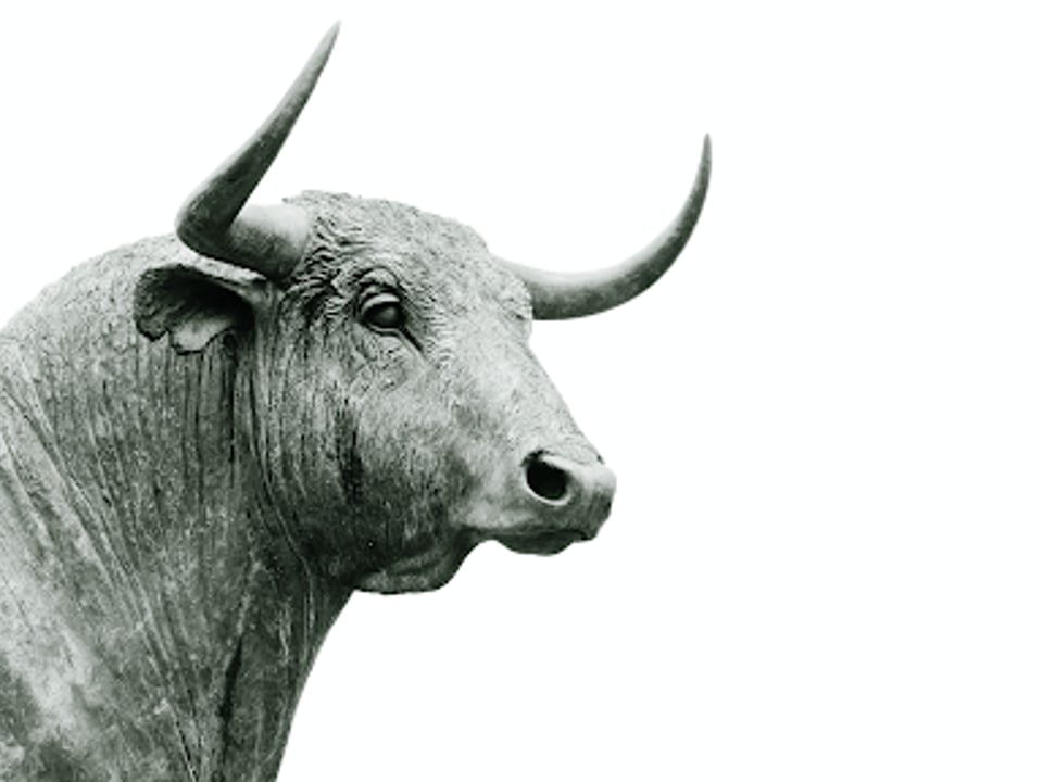 Lorem ipsum dolor sit amet