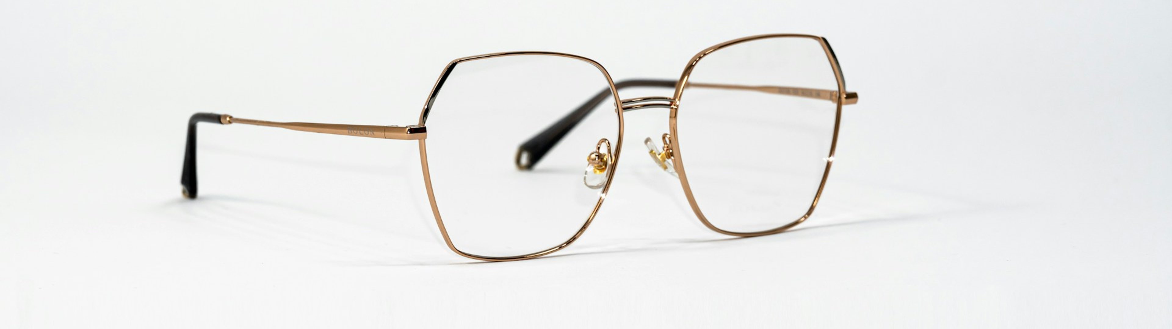 Make all the visitors to this site your own