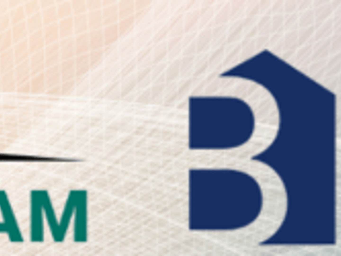 Barrett financial group - The Hoag Team