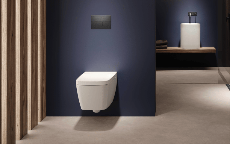 TECEsquare Metal II Flush button - Brushed Black Chrome image