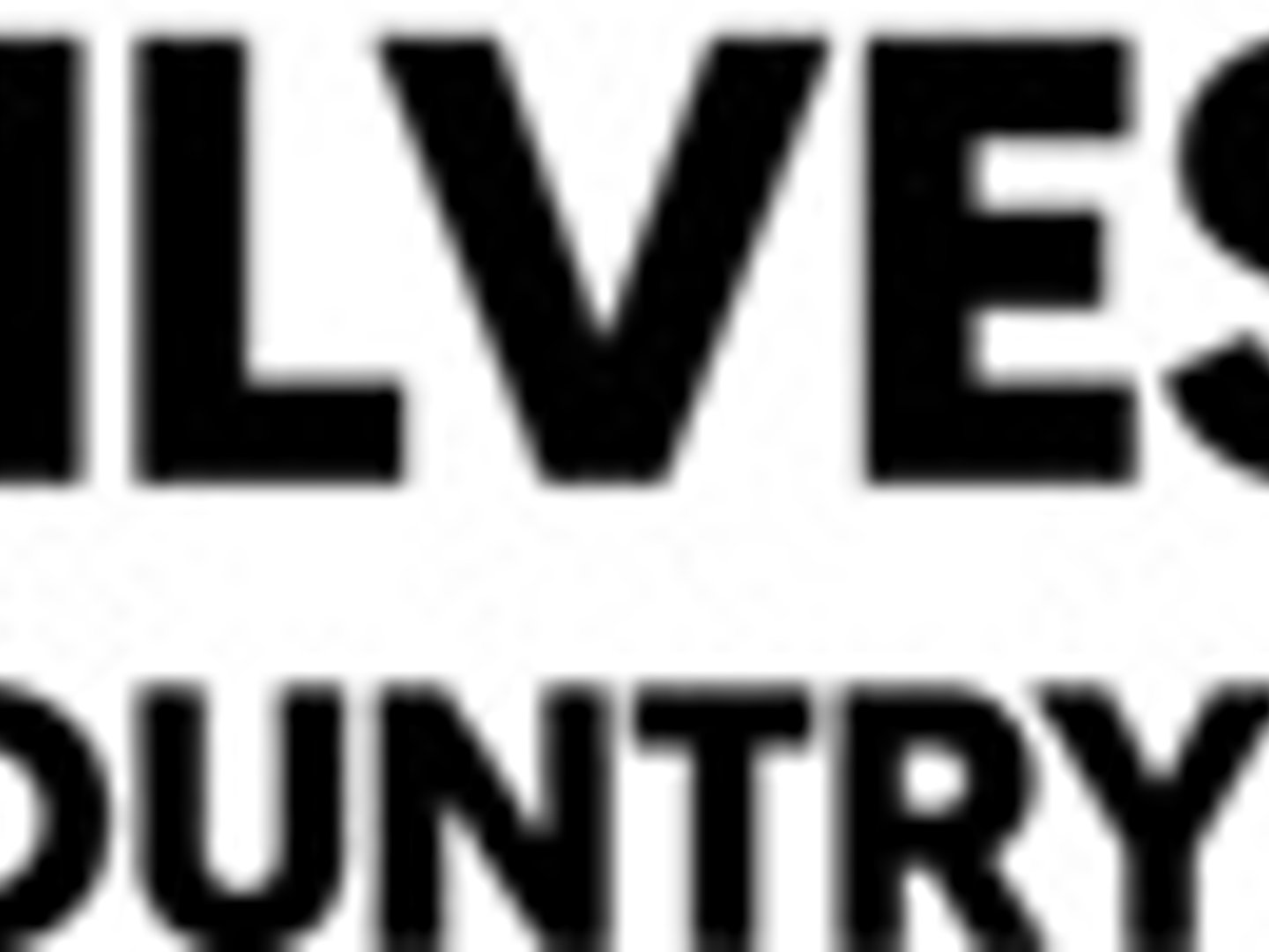 Michael C Silvestri at CrossCountry Mortgage