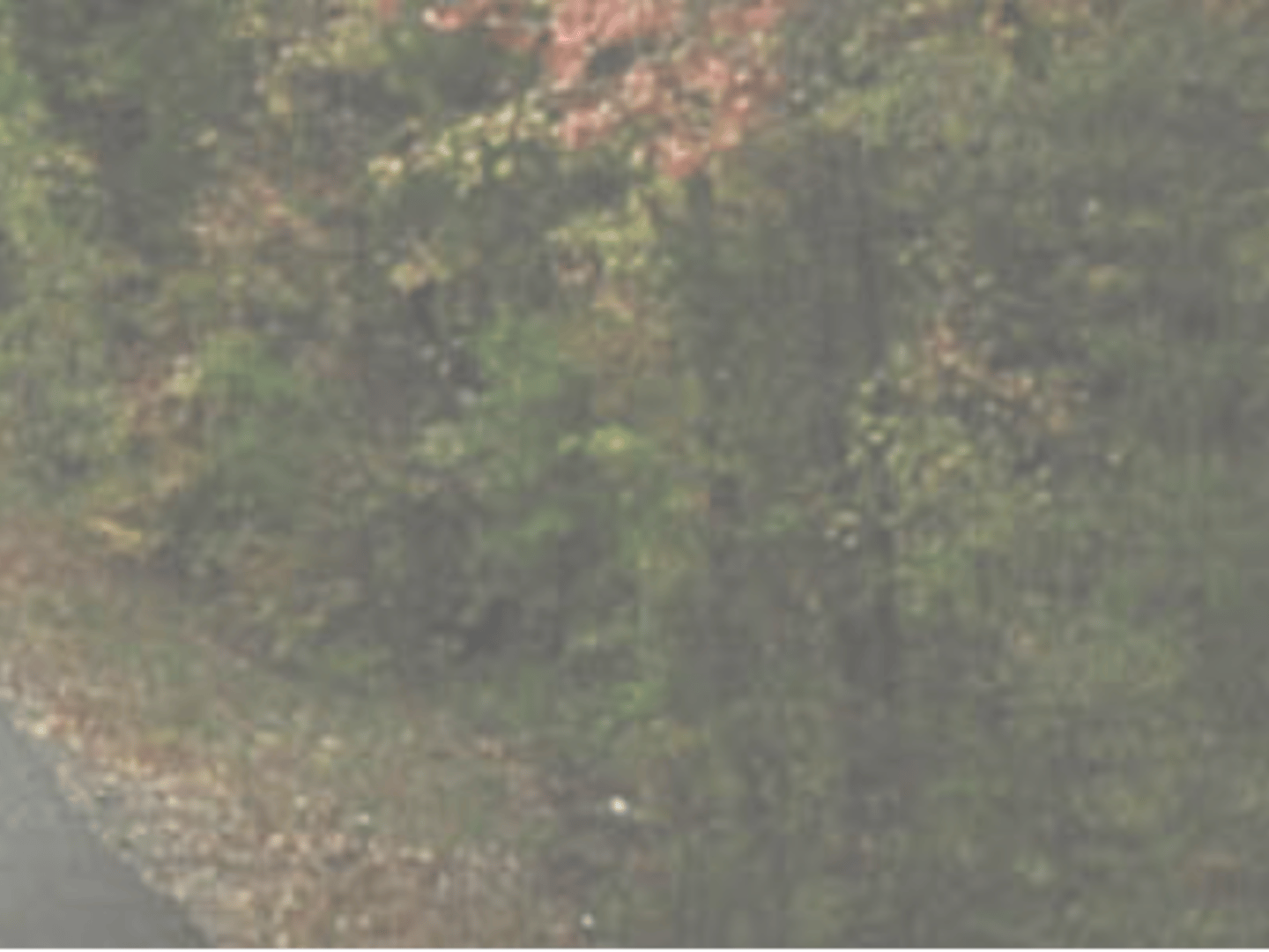 Austin Moore & Company Real Estate