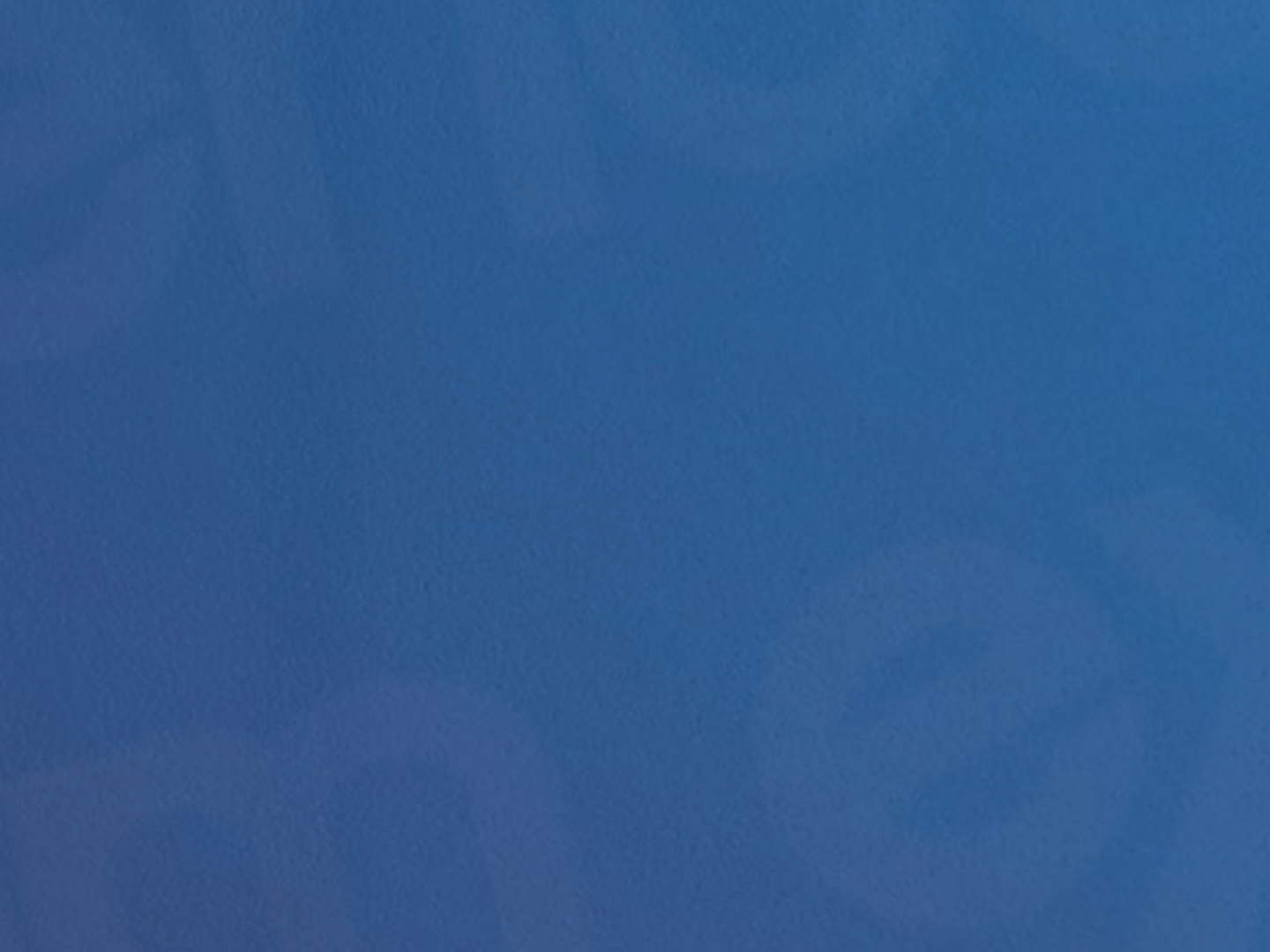 Gabriela Hanson - Realtor