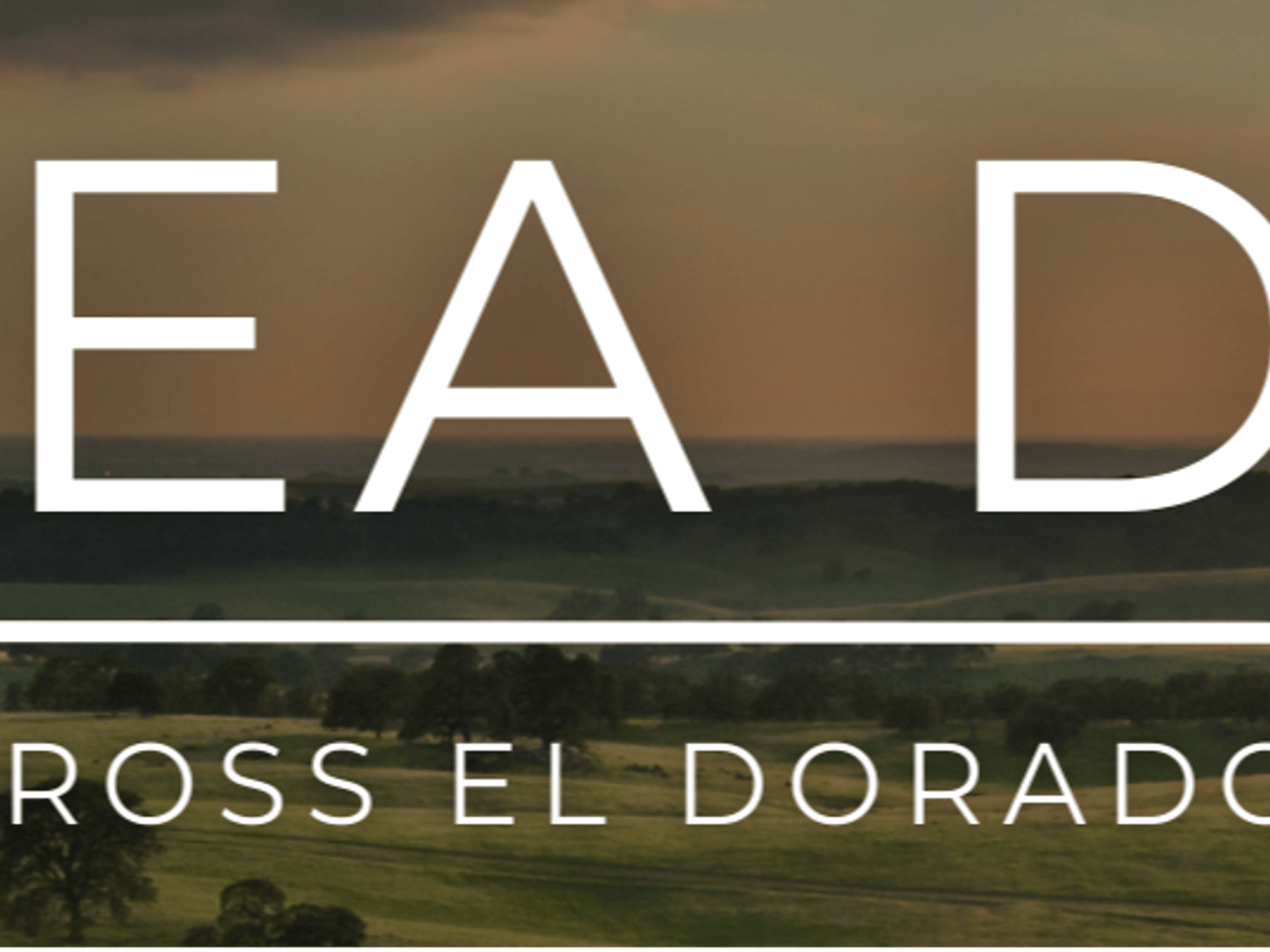 Real Broker - Andrea Duane