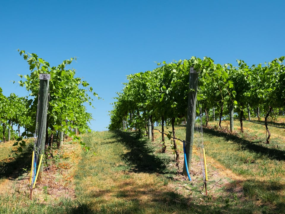 Just like Highlander, there can be only one though.