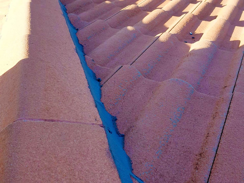 Dayluxe Roof Painting featured image