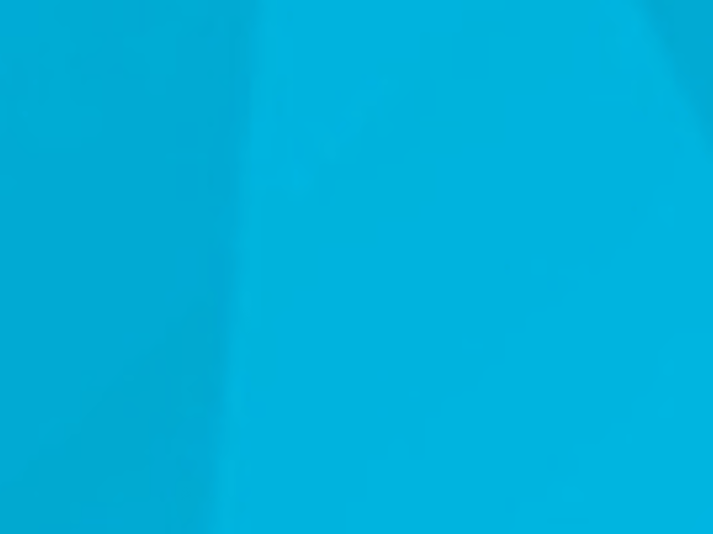 Guild Mortgage - Sarah Burbage